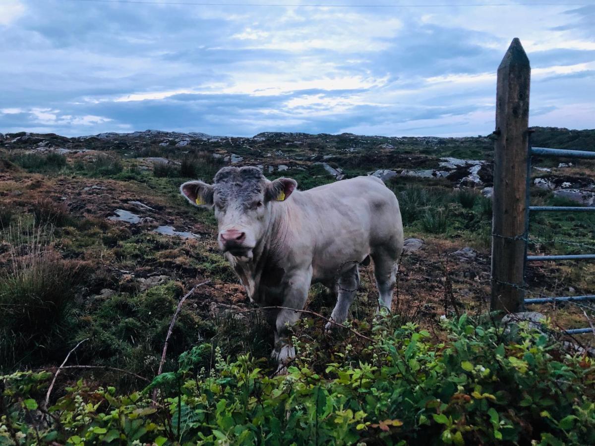 Connemara Sands Hotel & Spa クリフデン エクステリア 写真