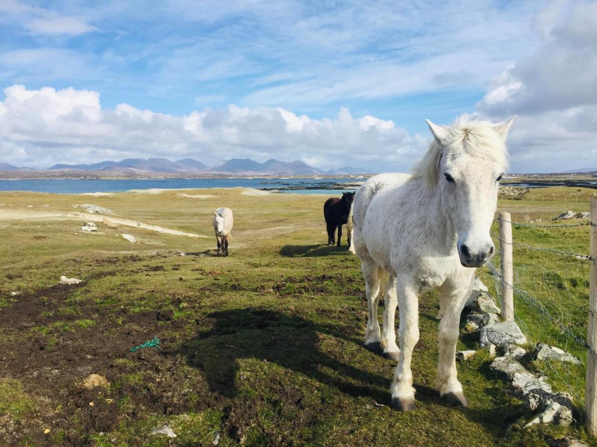 Connemara Sands Hotel & Spa クリフデン エクステリア 写真